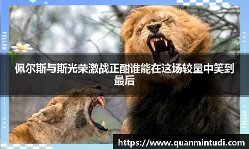 OB电竞官方网站